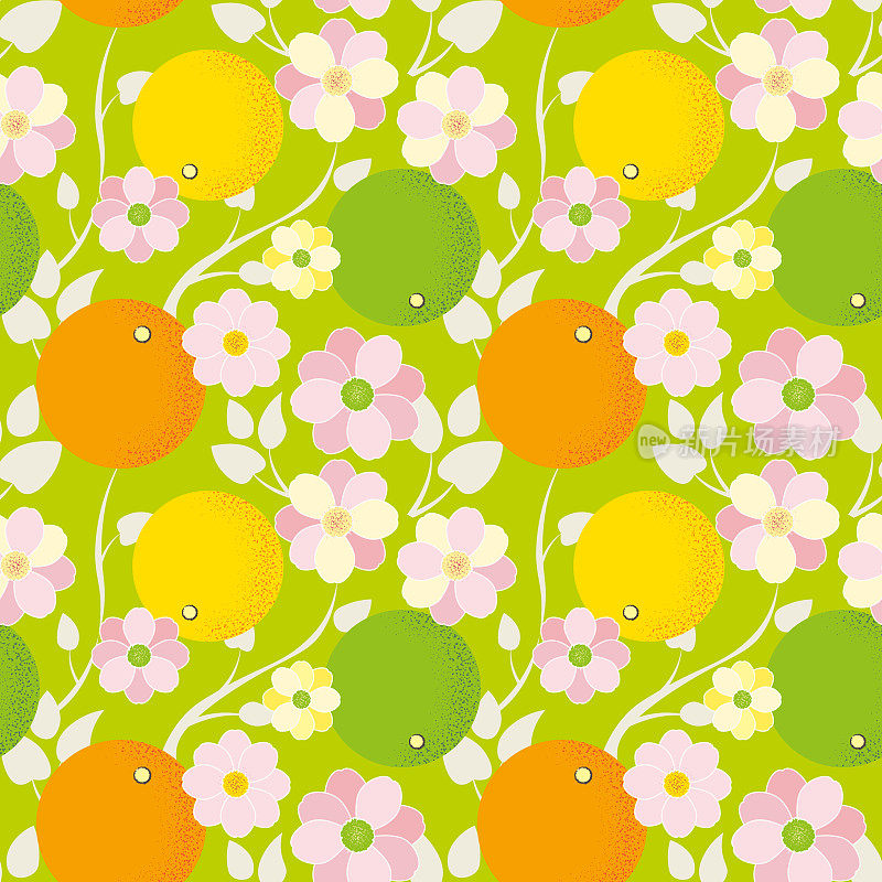 无缝图案的程式化的橙子和花与叶在一个彩色的背景