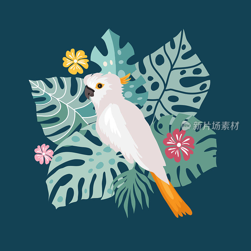 美丽的热带有热带鹦鹉，五颜六色的异域鸟，树叶，鲜花