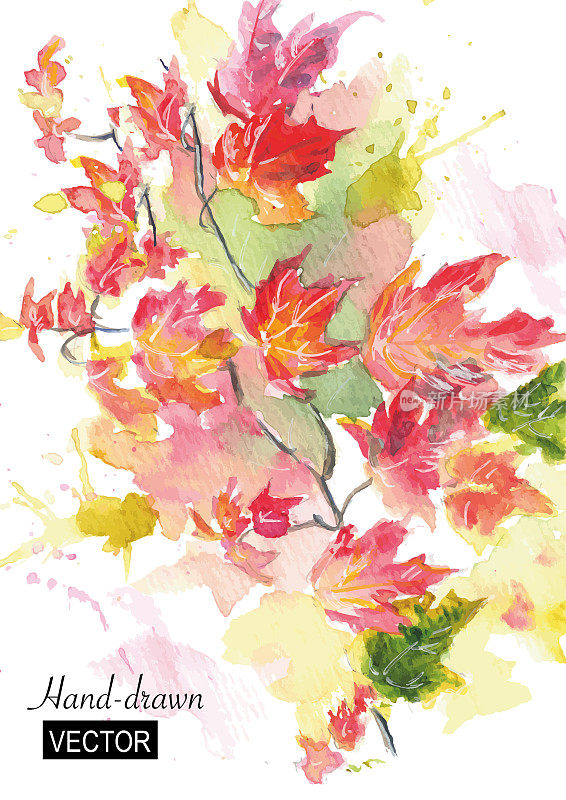水彩画浪漫的秋叶。向量