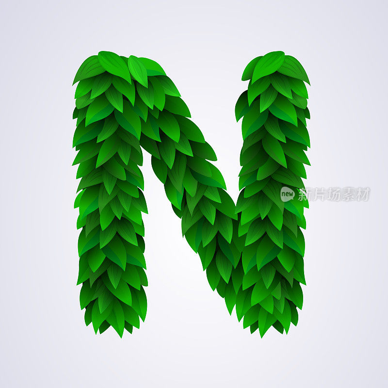 用新鲜的绿叶做成的字母。字母N