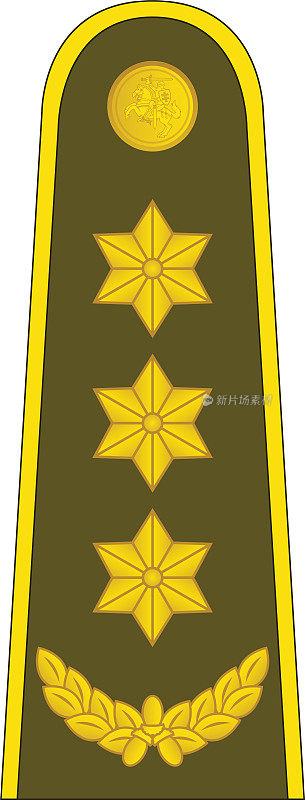立陶宛PULKININKAS军官徽章(上校)