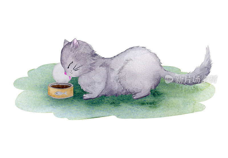 可爱的家猫吃罐头肉。以宠物为主题的水彩画构图。给宠物喂湿的食物。