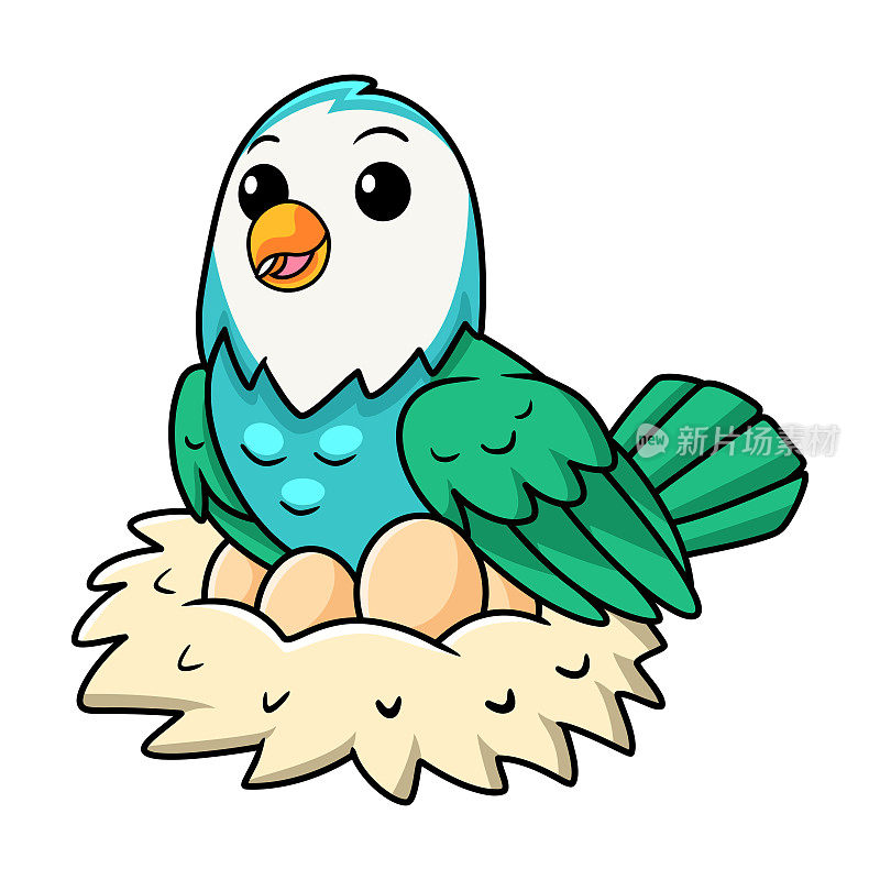 可爱的蓝色绿松石鸟卡通与蛋在巢