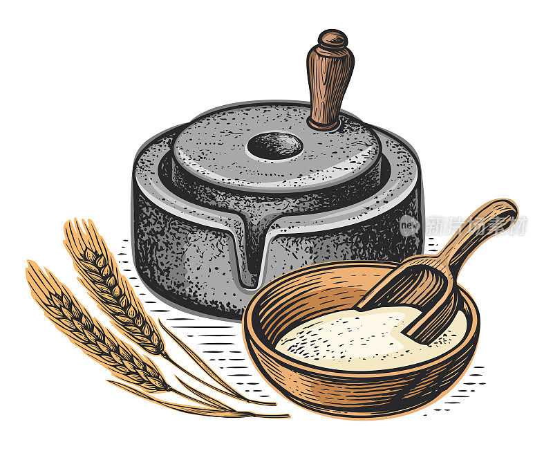 小麦，一碗谷物和磨盘，矢量插图。面粉生产。手磨，研磨谷物的石制工具
