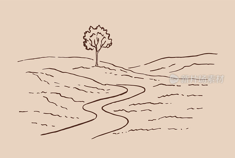 乡村景观与道路和树木。手绘插图转换为矢量。