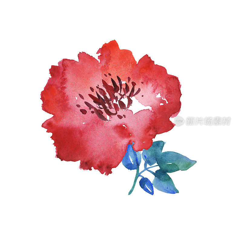 装饰亮红色花卉水彩插图。