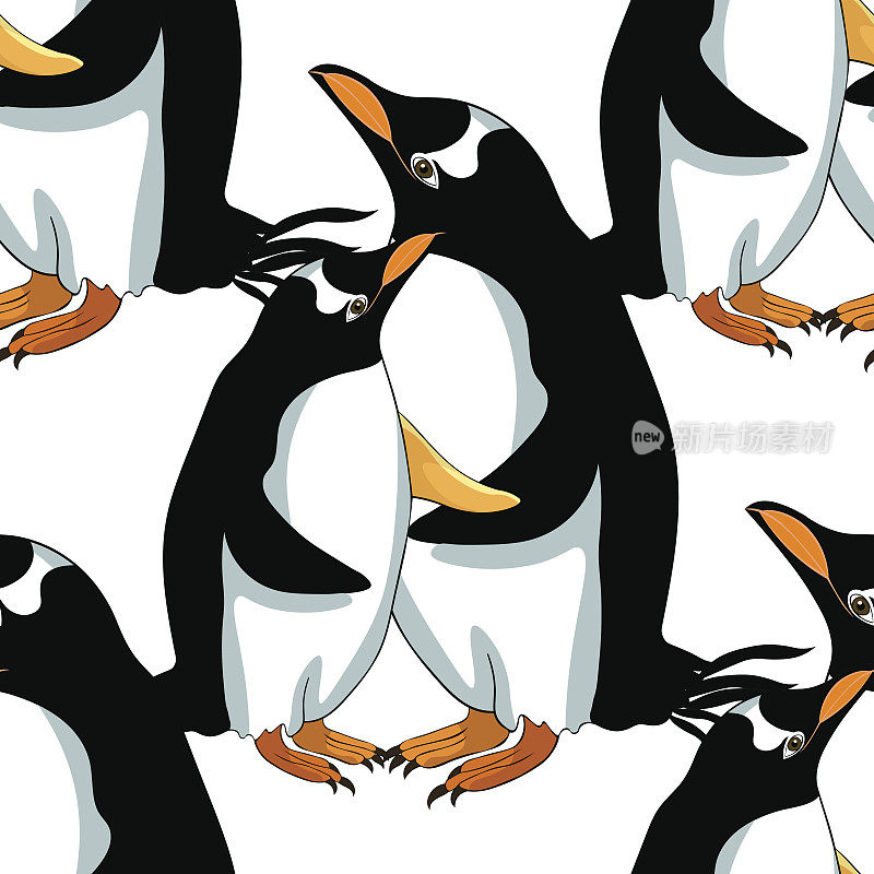 无缝模式亚南极企鹅巴布亚矢量插图