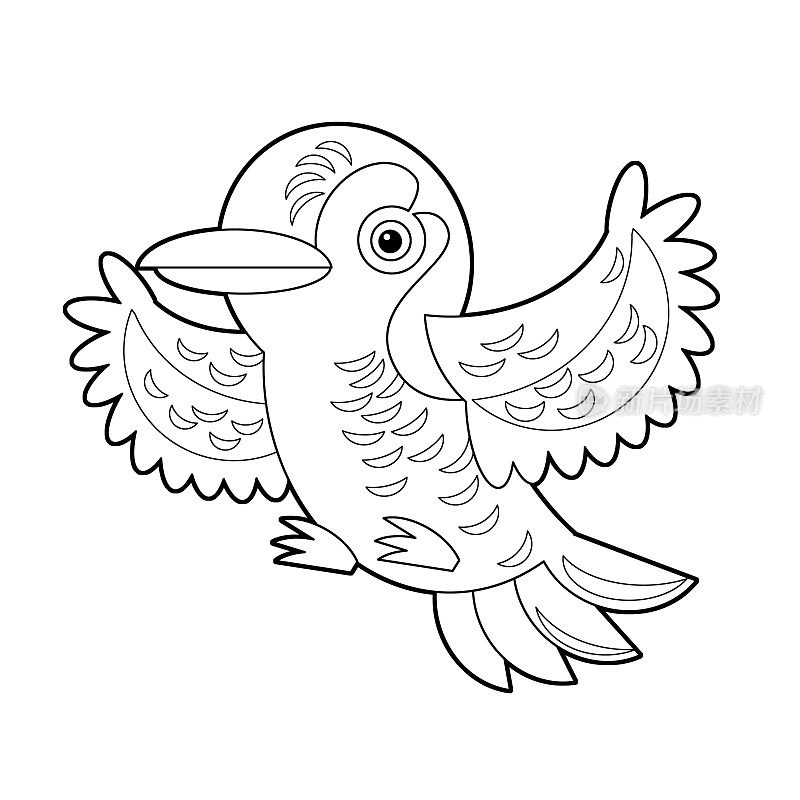 卡通素描画澳大利亚动物鸟园丁鸟在白色的背景插图