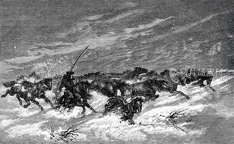 暴风雪肆虐的亚洲大草原上的一群马