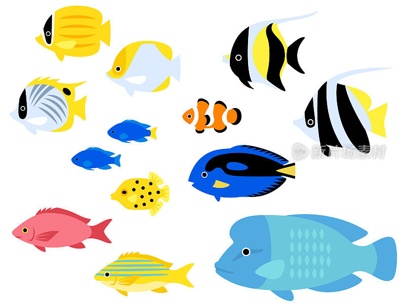 各种热带鱼的插图