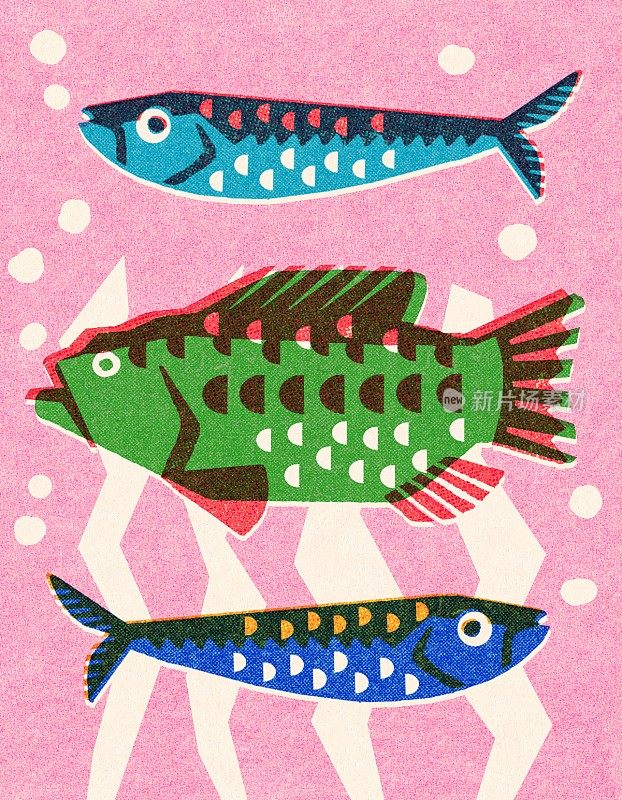 三个鱼