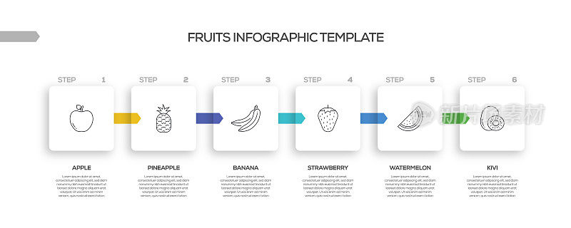水果相关过程信息图表模板。过程时间图。带有线性图标的工作流布局