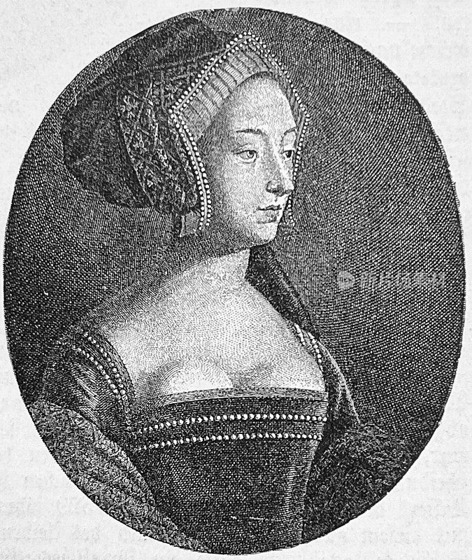 安娜・冯・博利，英格兰亨利八世的第二任妻子