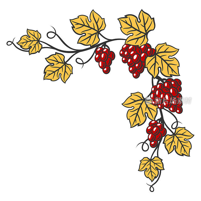 葡萄架上挂着树叶和一串串的葡萄。餐厅和酒吧的酒厂形象。