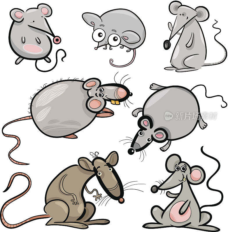 老鼠和大鼠设置卡通插图