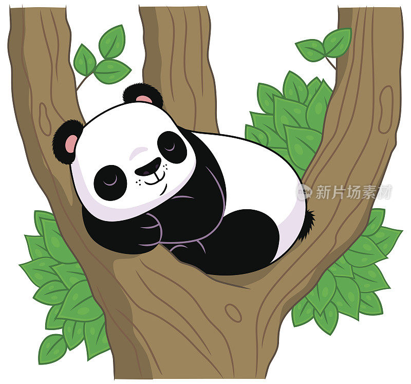 熊猫在树上睡觉