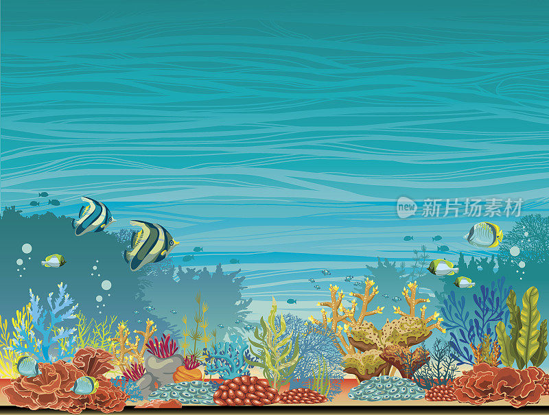 水下海景-珊瑚礁和鱼类。