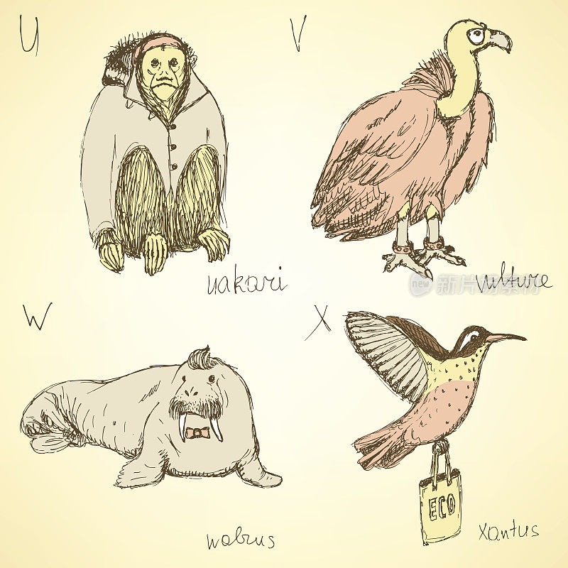 素描花哨的动物字母在复古风格