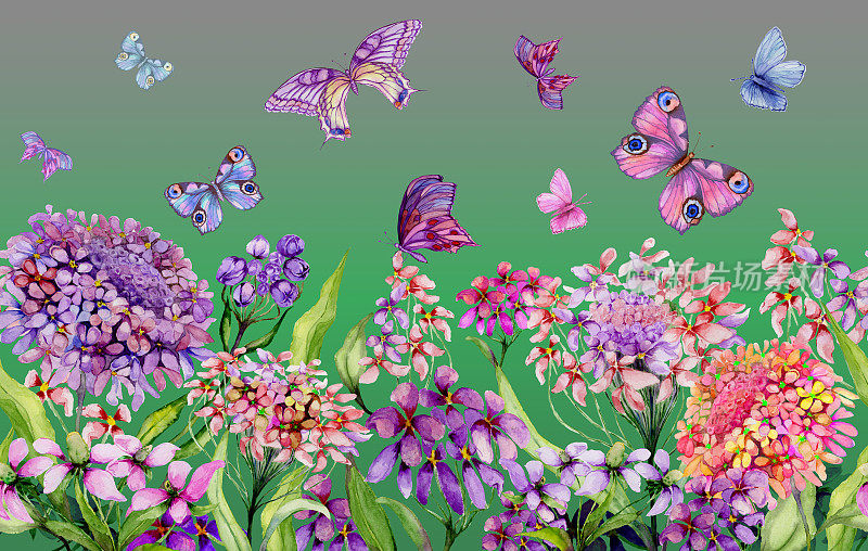 夏天宽横幅。美丽鲜艳的伊比莉花和五颜六色的蝴蝶在绿色的背景。水平模板。无缝全景花卉图案。水彩画。
