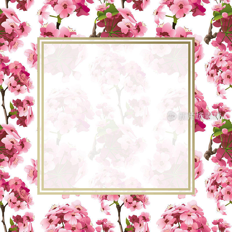 粉色樱花樱花无缝模式边界复制空间，矢量插图