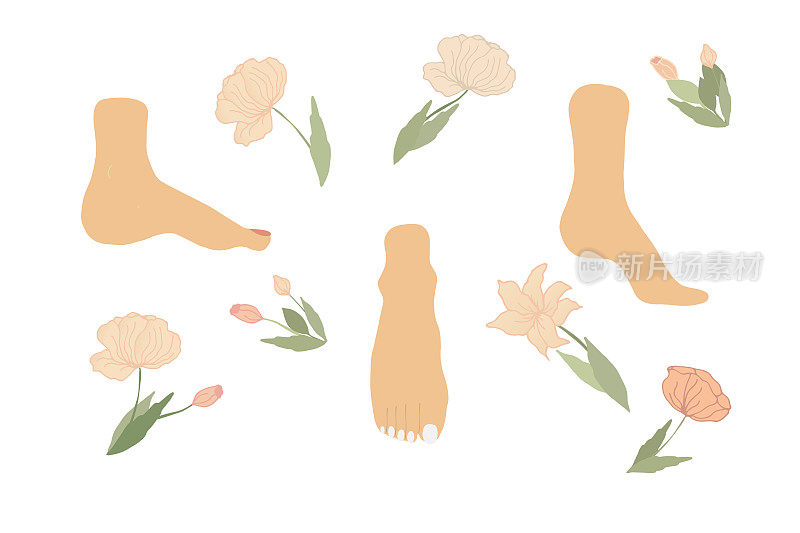 女人的脚有彩色的指甲和粉红色的花在白色的背景。女人的脚在侧面和正面。为了身体护理，美丽，健康。