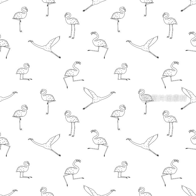 无缝重复轮廓卡通涂鸦火烈鸟图案孤立在白色背景。可爱的载体动物是活跃的、跳舞的、飞翔的、睡觉的、休息的、做梦的、行走的。黑线单色效果。