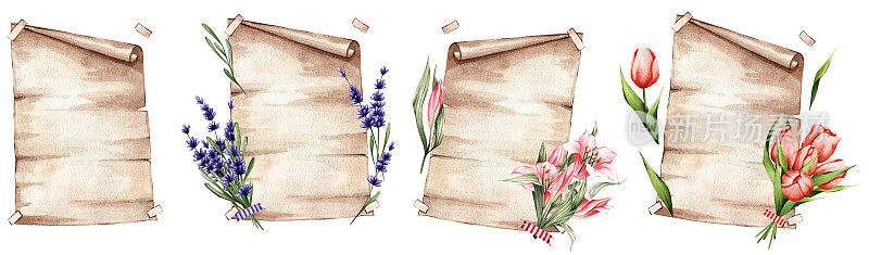 一套春花纸:薰衣草，百合，郁金香。非常适合做贴纸和明信片。