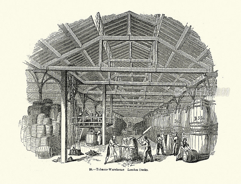 烟草仓库里的工人，在拆装木桶，维多利亚时代的19世纪50年代