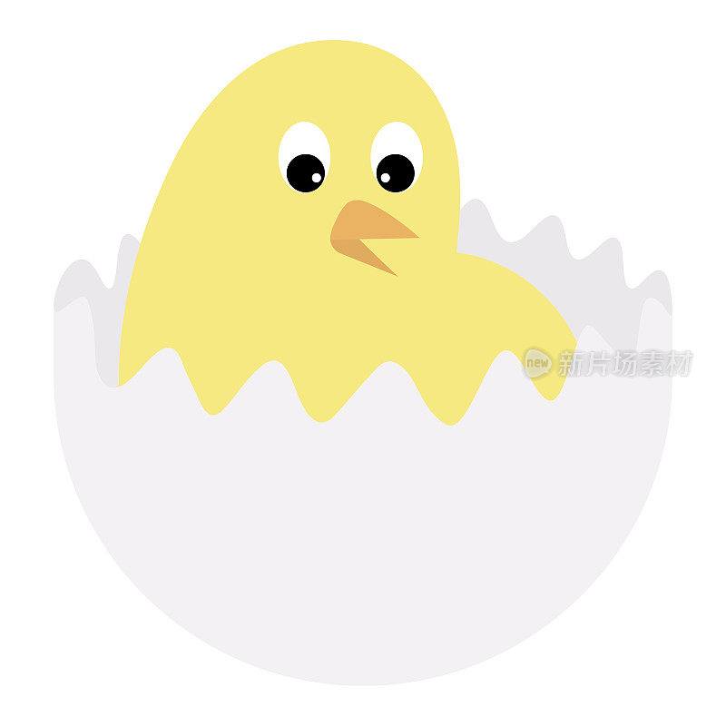 小鸡从蛋中孵化出来。颜色向量插图。黄色的鸡宝宝。一只可爱的小鸡坐在裂开的蛋壳里。孤立的背景。平的风格。