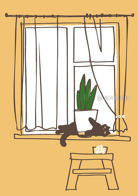 窗台上的猫和室内植物