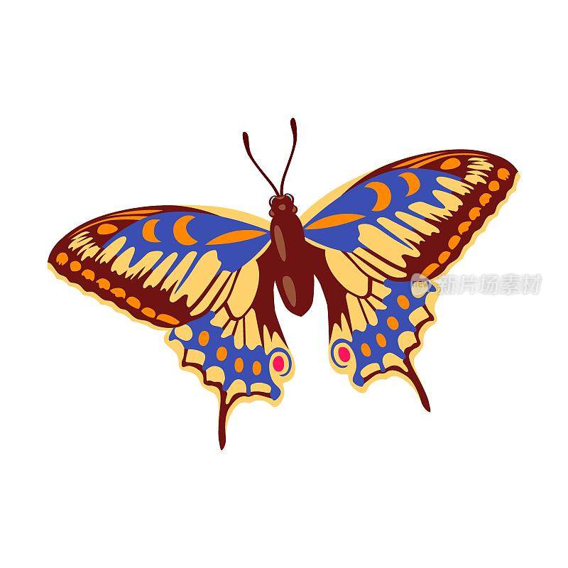 热带蝴蝶昆虫白底卡通插图。瓢虫，甲虫，蛴螬，蟑螂，蟑螂，蚂蚁，蝴蝶