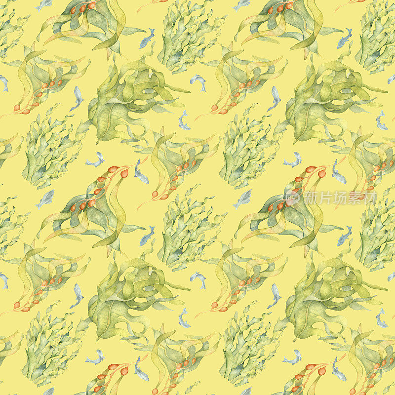 无缝图案的彩色海洋植物水彩插图孤立在黄色。海带，海带，手工绘制的草本海藻。背景设计，纺织，包装，包装，海洋收藏