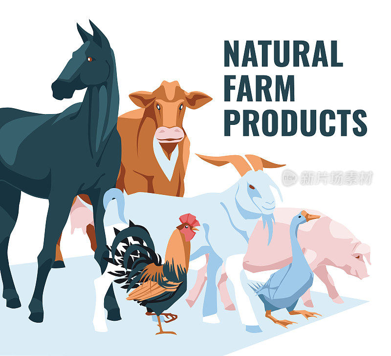 农场动物:公鸡，鹅，马，牛，猪，山羊孤立在白色背景上。矢量平面插图。农业、农业和养牛业