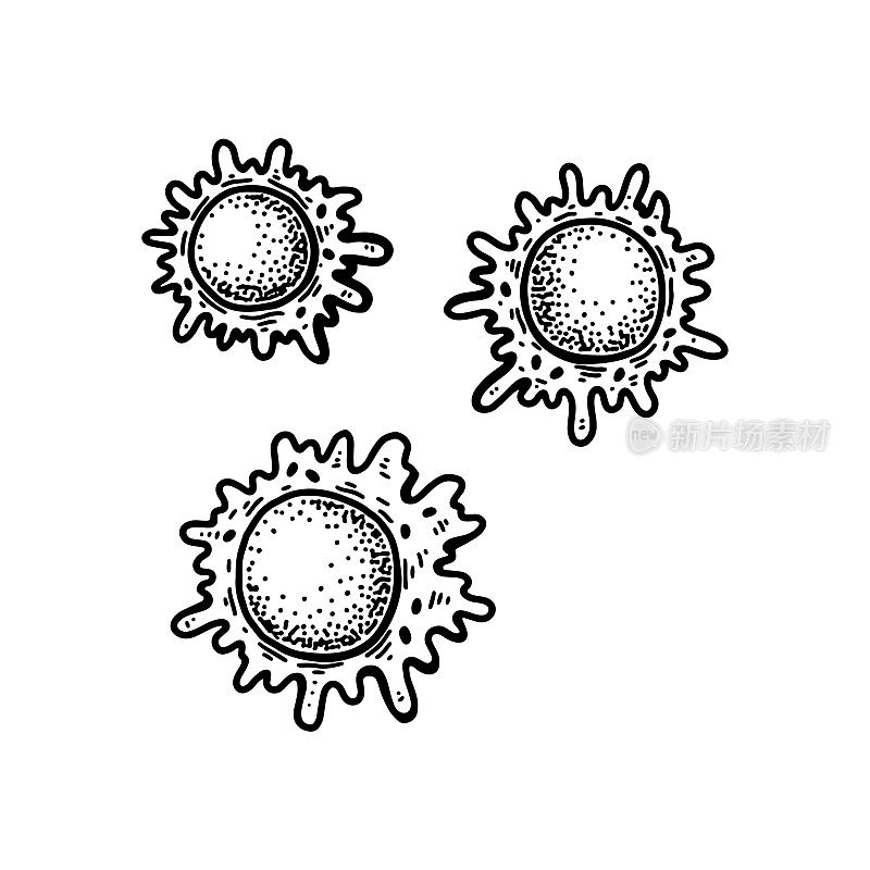 白色背景上分离的巨噬血细胞。手绘科学微生物载体插图素描风格