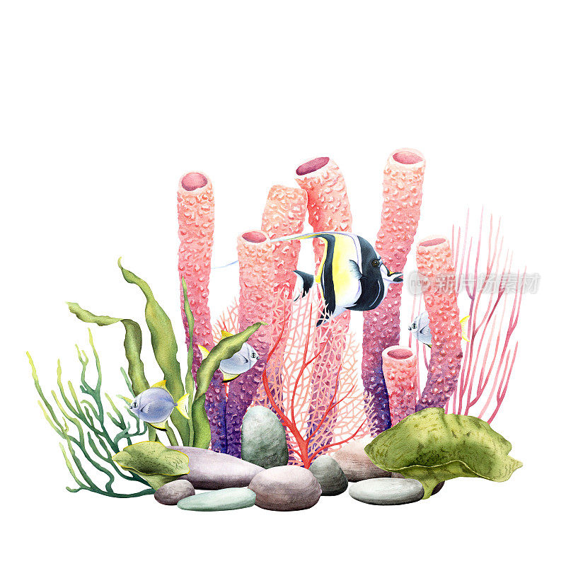水下由珊瑚礁植物和鱼类组成。水彩插图孤立在白色的剪贴画，卡片