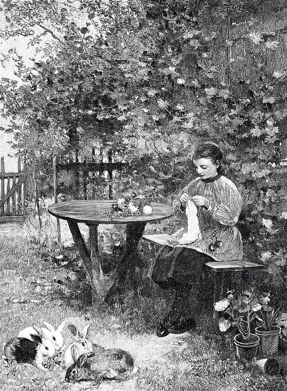 一个女人坐在花园里她最喜欢的地方的长凳上织毛衣，四只兔子在她的脚边