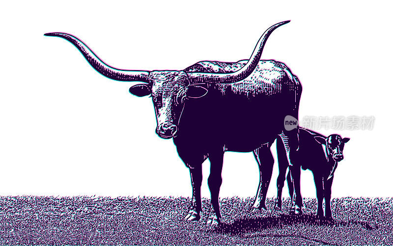 德州长角牛和小牛和故障技术