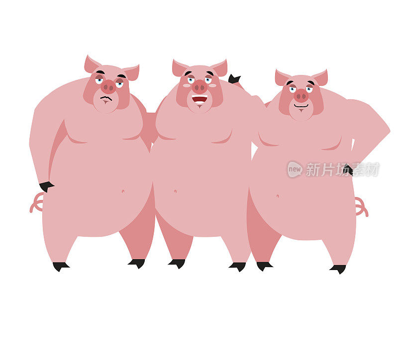 三个猪。童话的插图。白色背景上的小猪