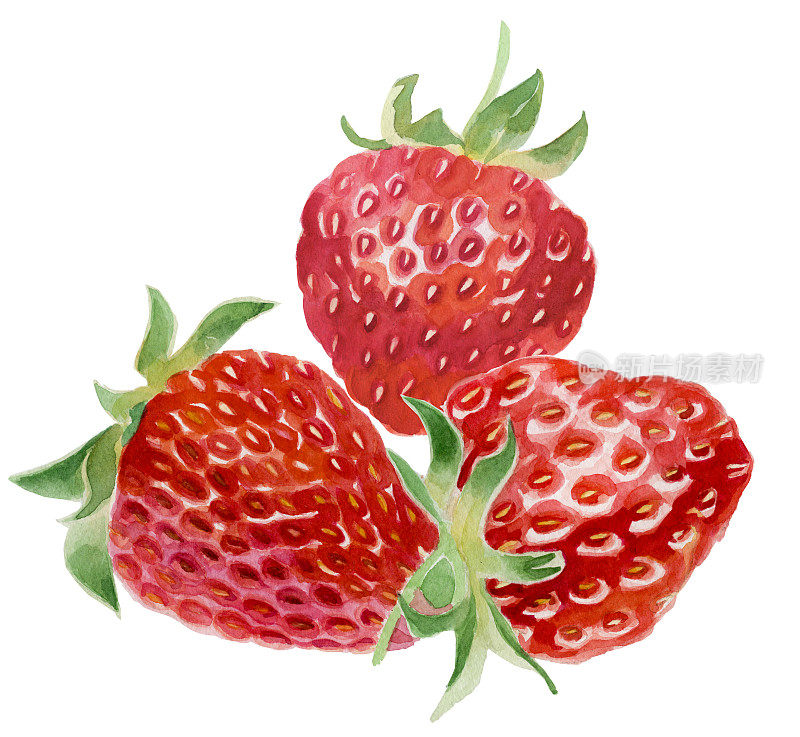 草莓水彩。三个浆果孤立在白色背景上