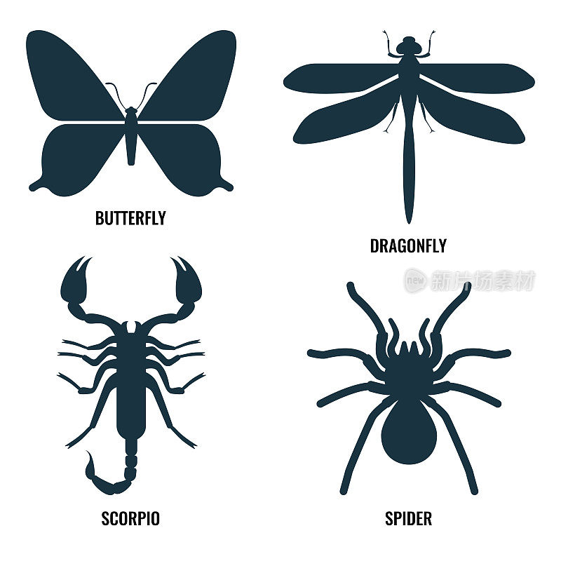 蝴蝶和蜻蜓，天蝎座和蜘蛛在矢量插图