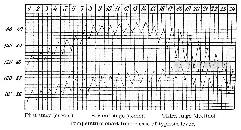19世纪伤寒病人体温表