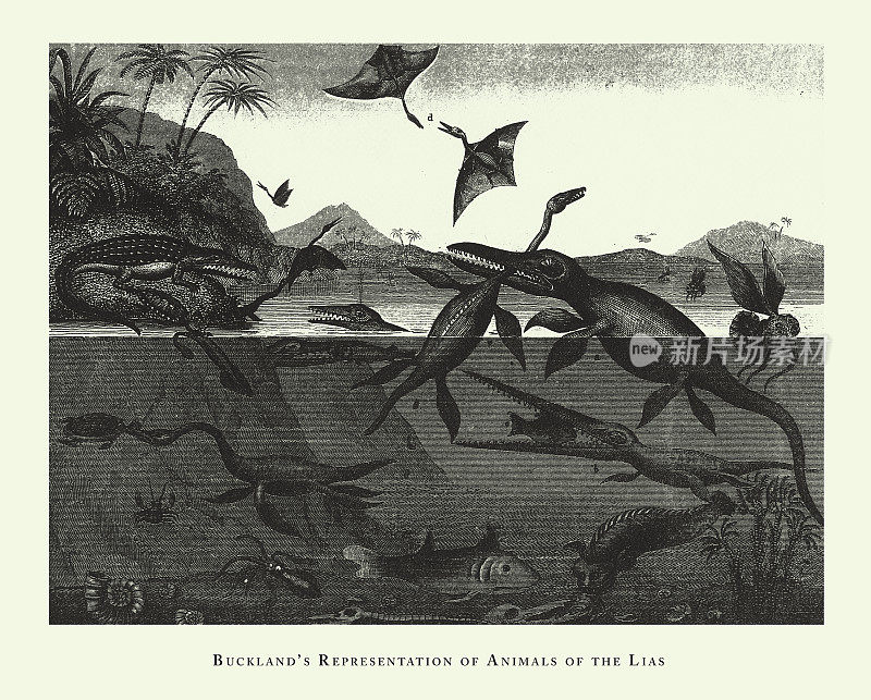 《年份》，巴克兰的《利亚斯动物的表现，化石和利亚斯动物雕刻古董插图的表现》，1851年出版