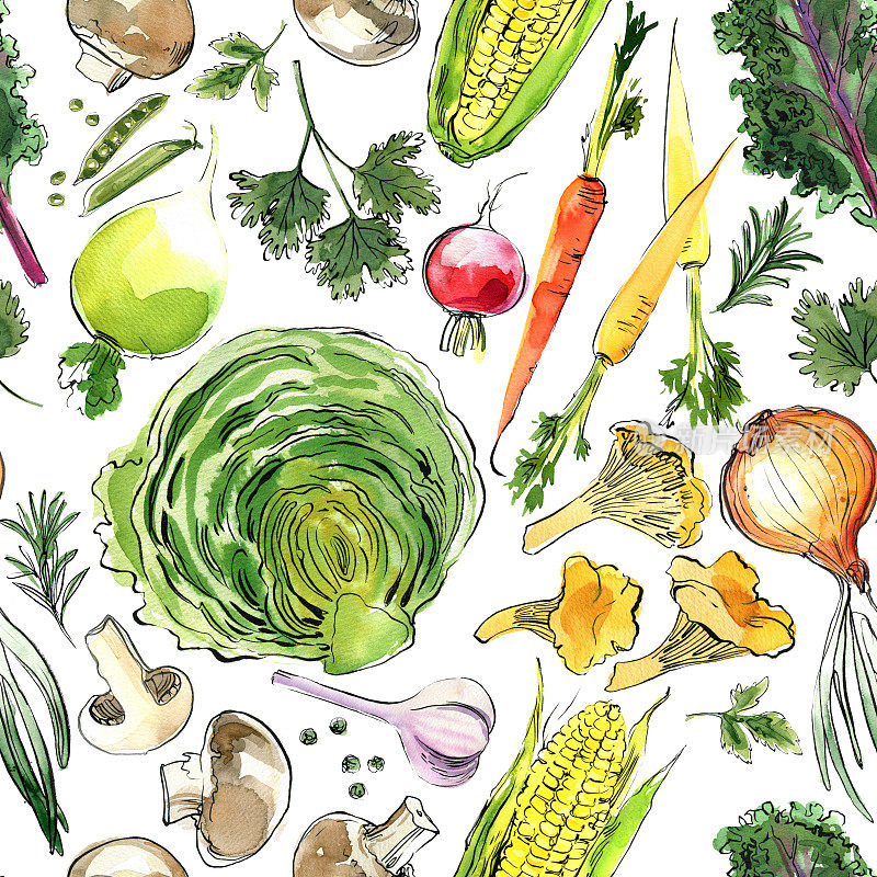图案蔬菜画水彩在白色的背景。番茄，洋葱，萝卜，辣椒粉，香料和香草。彩色蔬菜和香草。素食主义，农耕，食物素描。