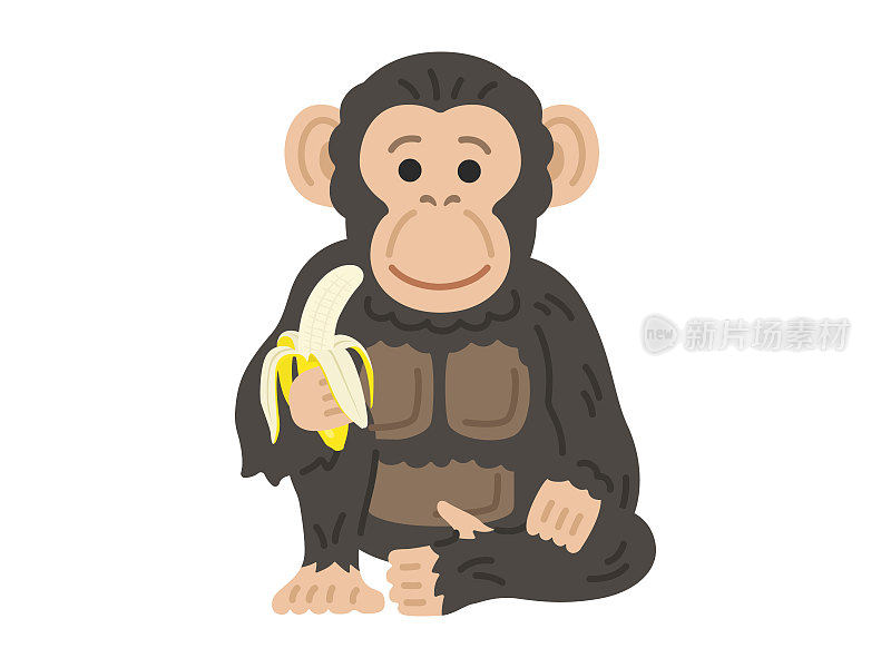 黑猩猩吃香蕉的插图。