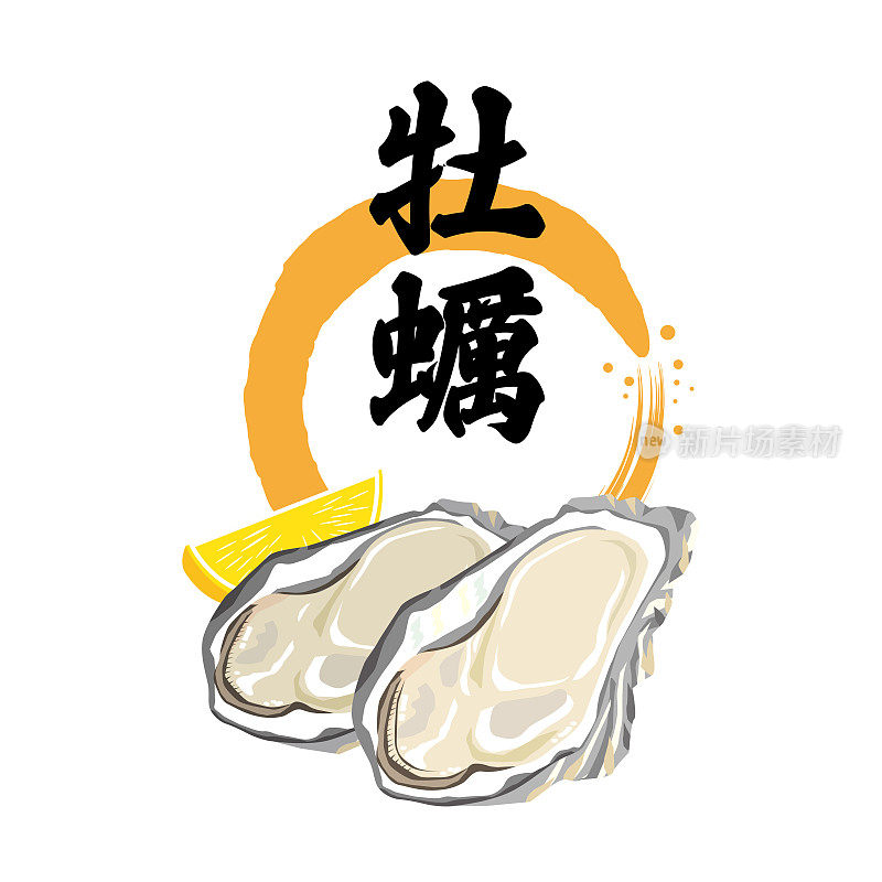 牡蛎的插图和特征
