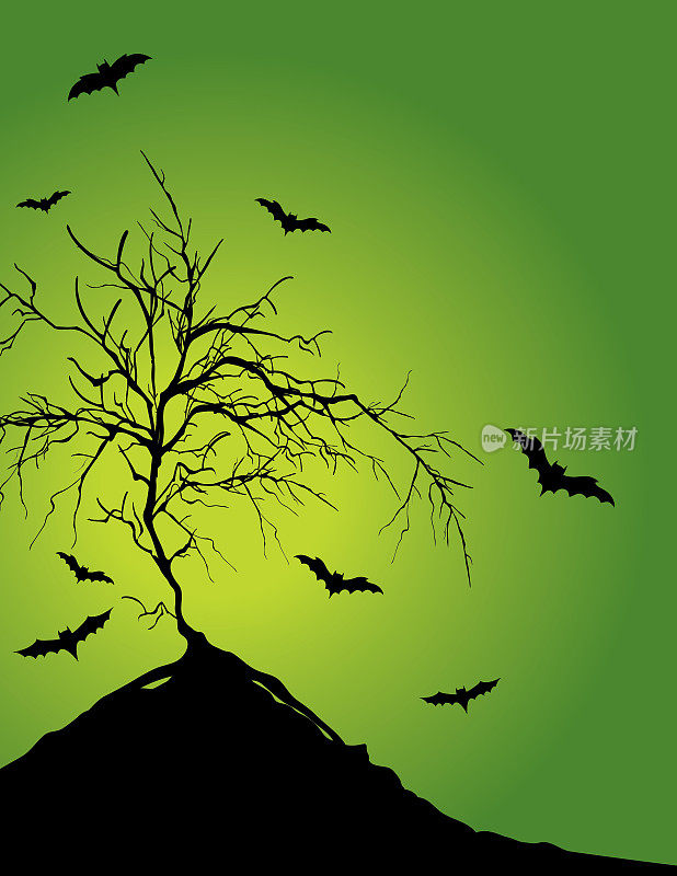 山上有幽灵出没的树，树上有蝙蝠