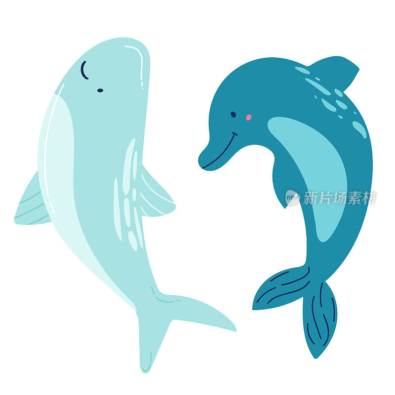 集海洋哺乳动物蓝鲸，鲨鱼，抹香鲸，海豚，白鲸，独角鲸虎鲸。卡通矢量图形。