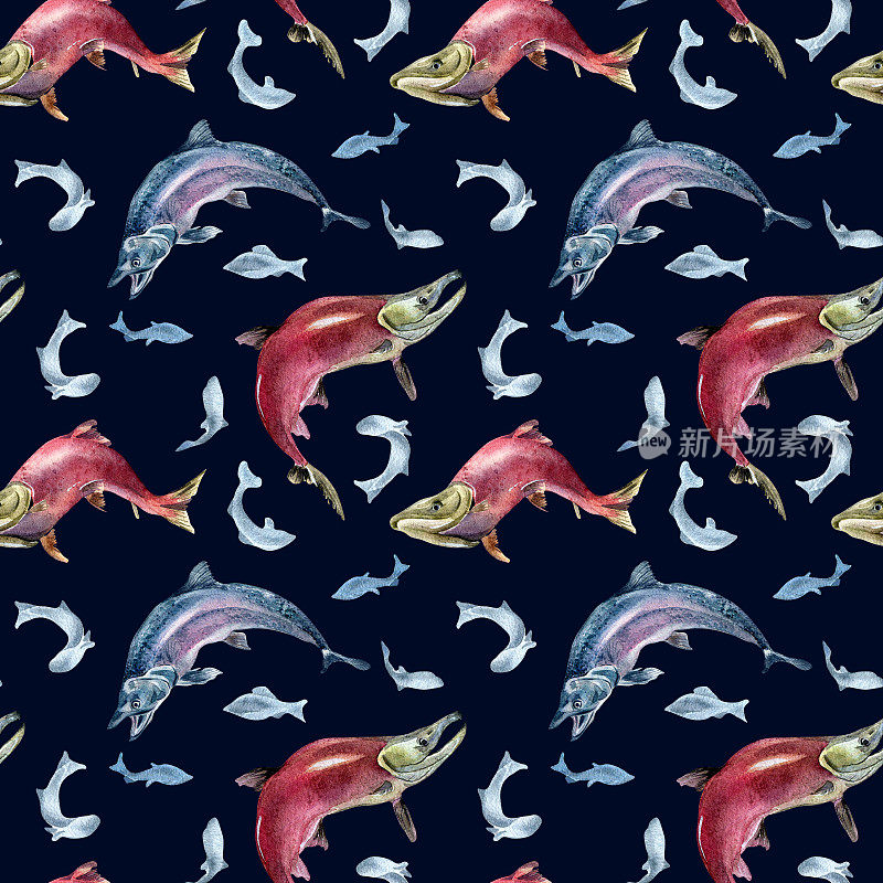 无缝模式的鲑鱼，银鲑，鱼饵水彩插图隔离在黑色。