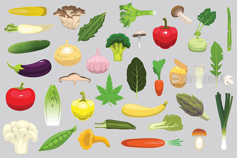 食物各种蔬菜蘑菇绿色素食营养插图载体