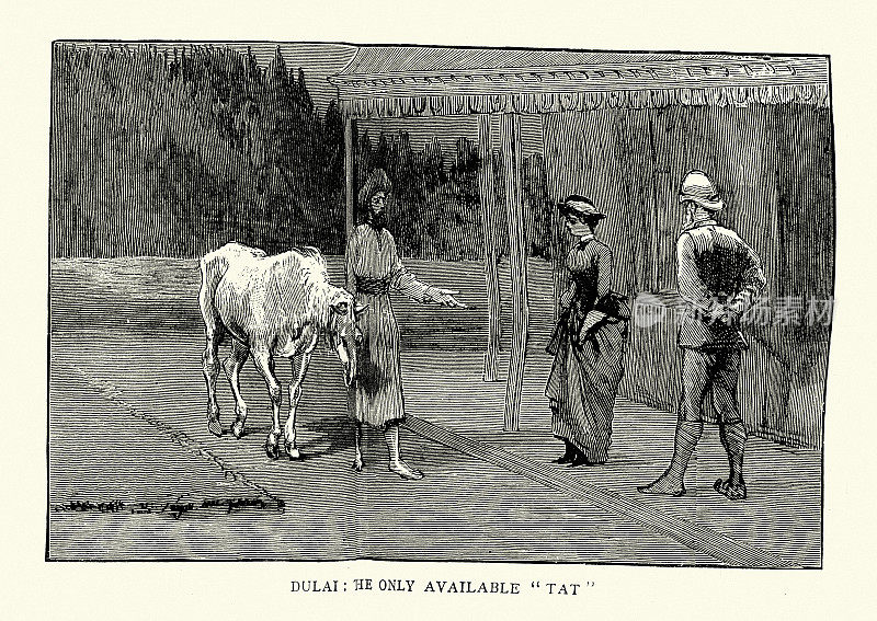 英国探险家和他的妻子从当地租用一匹马，在克什米尔测量，历史，1880年代，19世纪